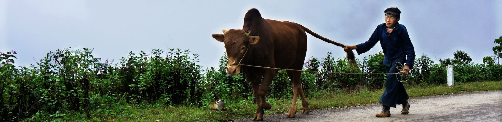 Ha Giang 1