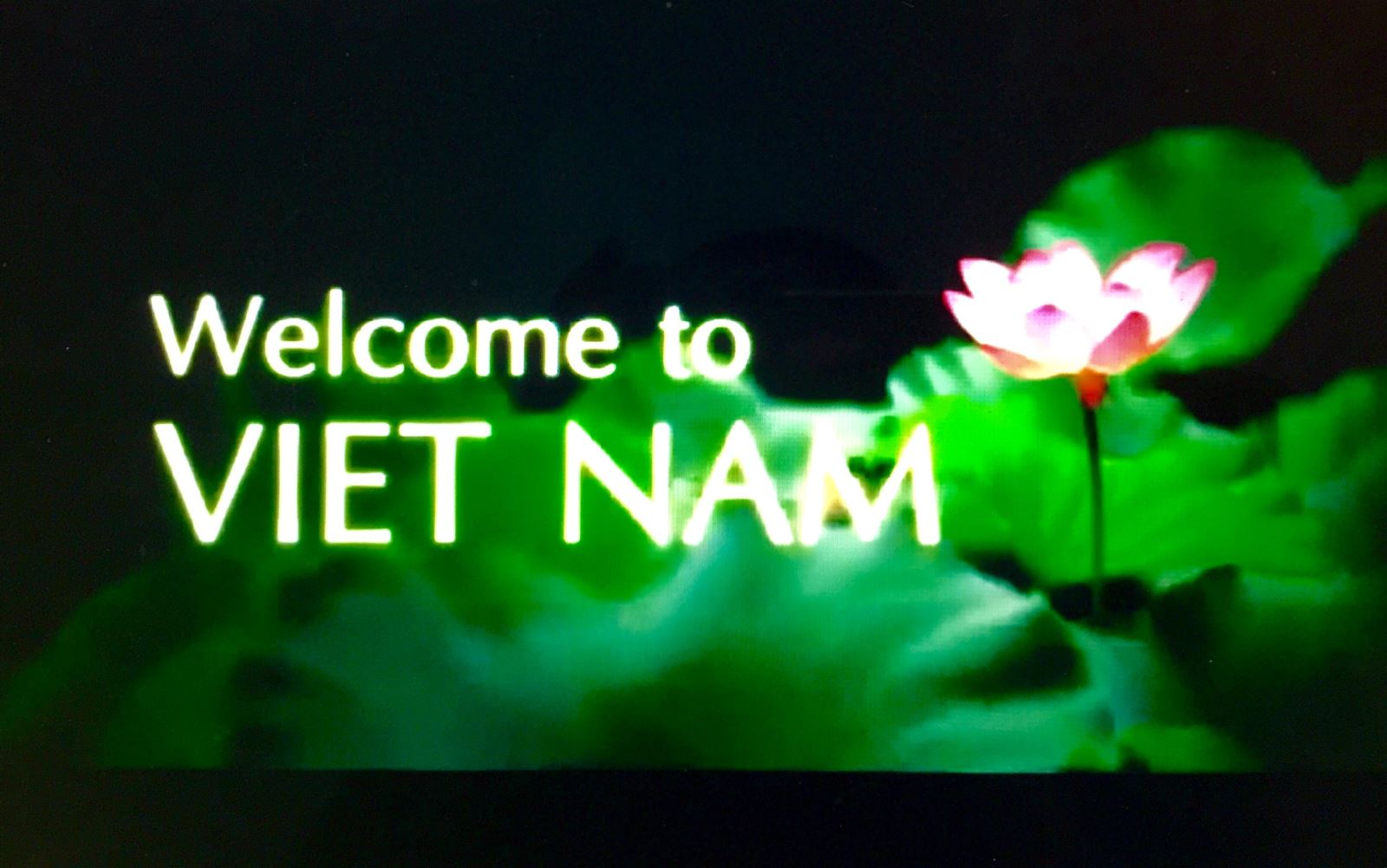 Welcome to Vietnam