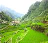 HÀ NỘI - SAPA - HÀ NỘI (3 ngày 2 đêm)