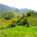 Sa Pa