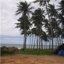 Nha Trang 1