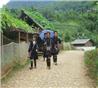 Reise im Nordwesten Vietnams