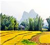 Fototour durch die wunderschöne Berglandschaft in Nordvietnam