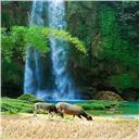Silber Wasserfall