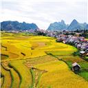 Ha Giang  