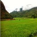 Ha Giang