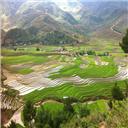 Ha Giang