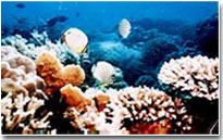 nha trang